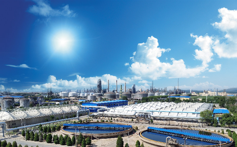 单管拱式污水池加盖反吊膜